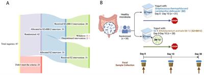 Administration of Bifidobacterium animalis subsp. lactis strain BB-12® in healthy children: characterization, functional composition, and metabolism of the gut microbiome